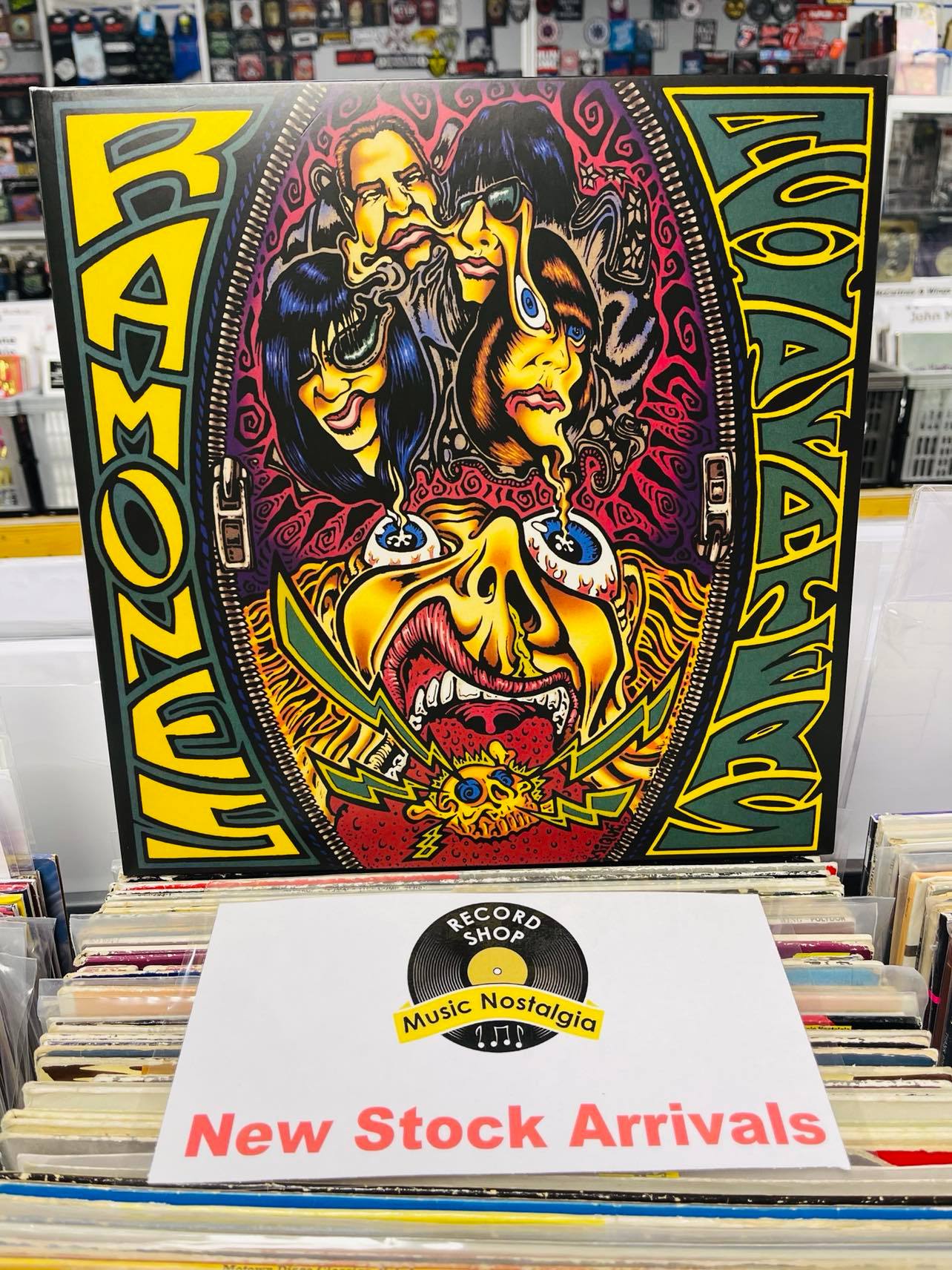 Ramones Acid Eaters - VINYL LP