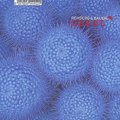 Passt | Retro Vinyl Club