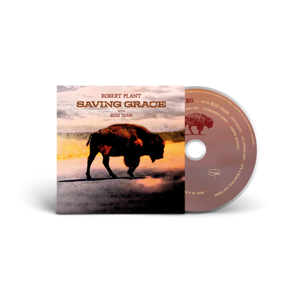 Saving Grace | Retro Vinyl Club