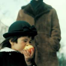 A Sea Of Trees (CD) |   Retro Vinyl Club