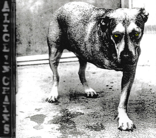 Alice In Chains | Near Mint (NM) Near Mint (NM) Retro Vinyl Club