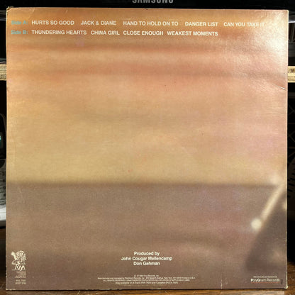 American Fool (VINYL) | Near Mint (NM) Excellent+ (EX+) Retro Vinyl Club