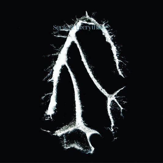 Everything Squared | Retro Vinyl Club