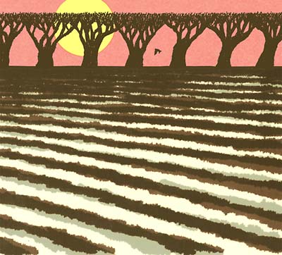 Tasankokaiku | Retro Vinyl Club