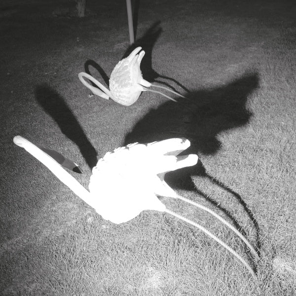 A Mimesis of Nothingness [Import] (WHITE VINYL) |   Retro Vinyl Club