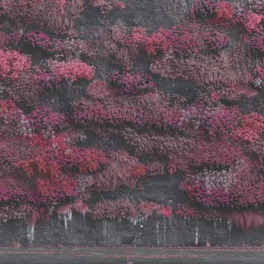 Even In Arcadia (CD) | Retro Vinyl Club