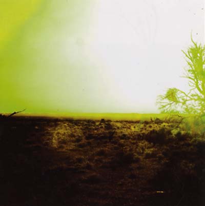 Strings Of Consciousness & Angel | Retro Vinyl Club