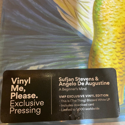 A Beginner's Mind |   Retro Vinyl Club