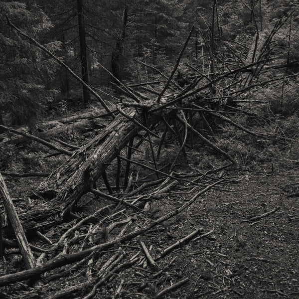 Always I Gnaw | Retro Vinyl Club