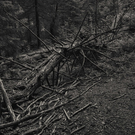 Always I Gnaw | Retro Vinyl Club