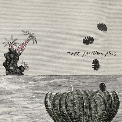 Milieu Plus | Retro Vinyl Club