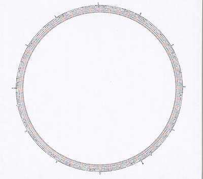 Stupid Rotation | Retro Vinyl Club