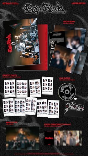 Go In Blind [Limited Edition] [Cd Single+Book] | Retro Vinyl Club