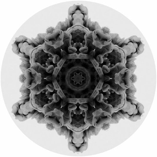 12 |  Generic Retro Vinyl Club