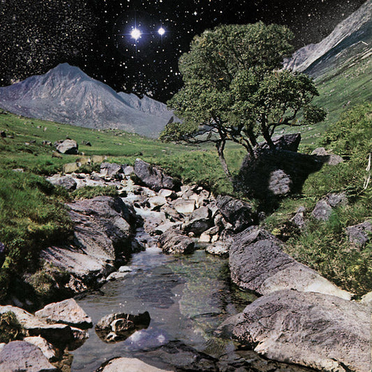 The Beta Band (Deluxe Edition) | Retro Vinyl Club