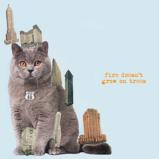 Fire Doesn't Grow On Trees | Retro Vinyl Club