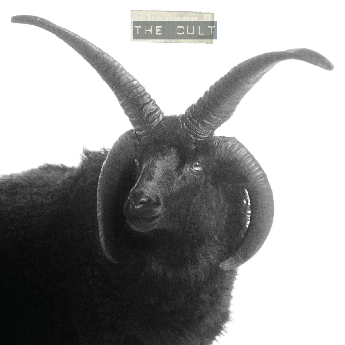 The Cult | Retro Vinyl Club