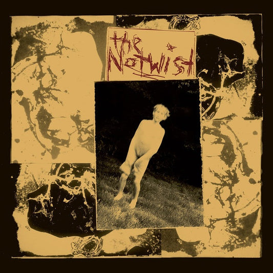 The Notwist (30 Year Anniversary Edition) | Retro Vinyl Club