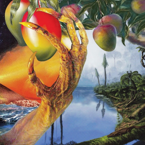 A Morphology Of Wonders | Retro Vinyl Club