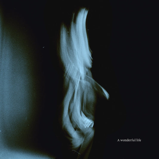 A Wonderful Life (PRE-ORDER 9/5/25)(Black Vinyl) |   Retro Vinyl Club