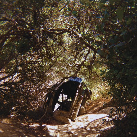 Possession | Retro Vinyl Club