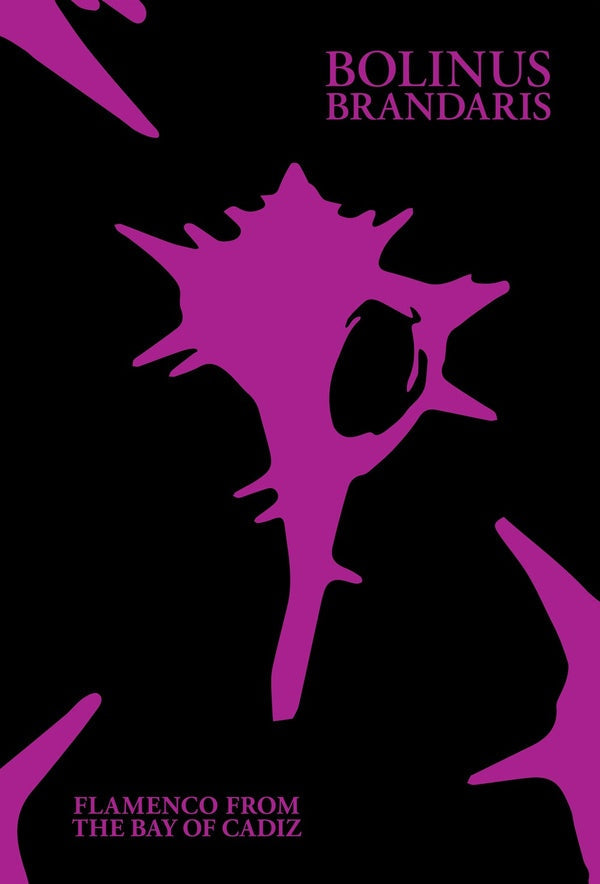 Bolinus Brandaris: Flamenco from the Bay of Cadiz | Retro Vinyl Club