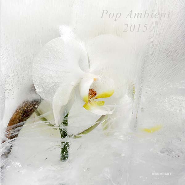 Pop Ambient 2015 | Retro Vinyl Club