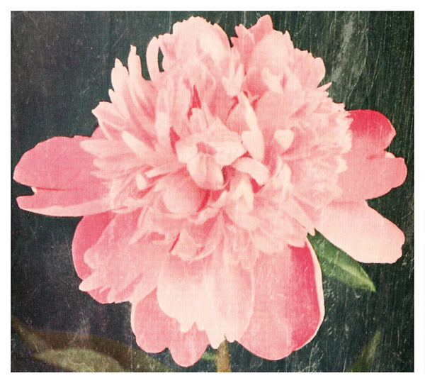 A Place To Stay | Retro Vinyl Club