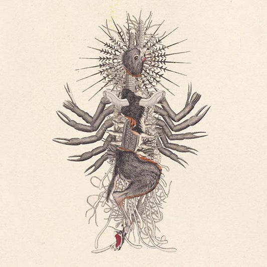 Verstorung | Retro Vinyl Club