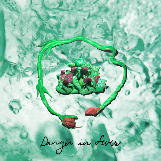 Danger In Fives | Retro Vinyl Club