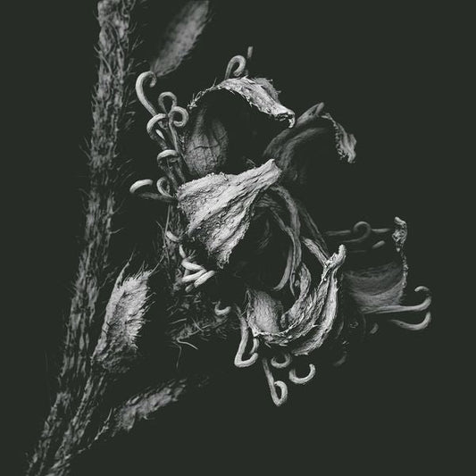 1982 | Retro Vinyl Club