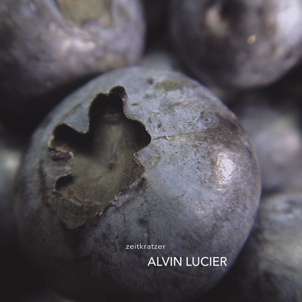 Alvin Lucier | Retro Vinyl Club